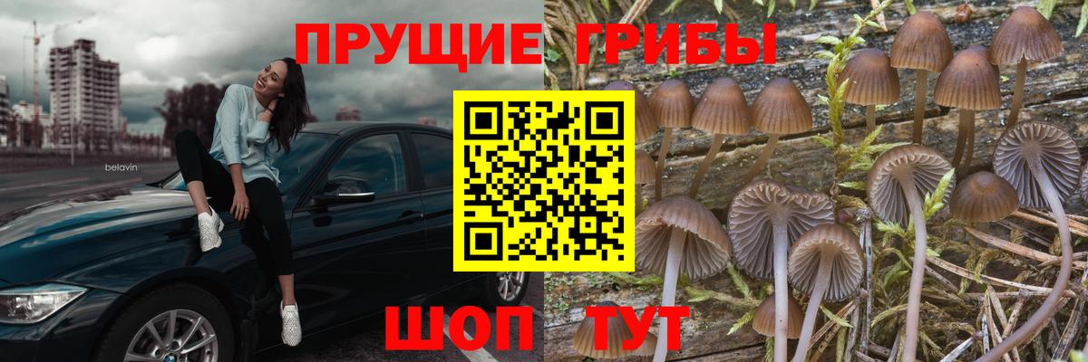 Псилоцибиновые грибы GOLDEN TEACHER Югорск